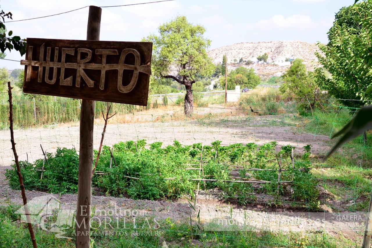 Apartamentos Rurales El Molino De Morillas غاليرا المظهر الخارجي الصورة